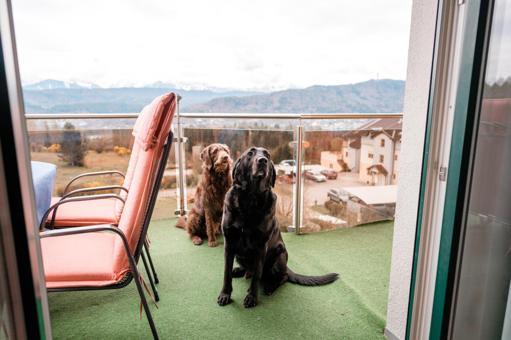 Urlaub Fuer Mensch Und Tier - Appartements Pirkhof Перчах-ам-Вертерзе Екстер'єр фото